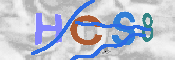 Obraz CAPTCHY