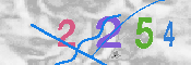 Obraz CAPTCHY