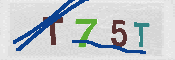Obraz CAPTCHY