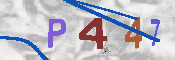 Obraz CAPTCHY