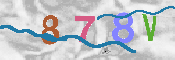 Obraz CAPTCHY