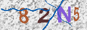 Obraz CAPTCHY