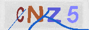 Obraz CAPTCHY