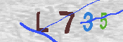 Obraz CAPTCHY