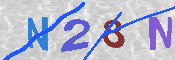 Obraz CAPTCHY