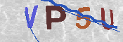 Obraz CAPTCHY