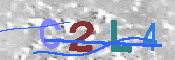 Obraz CAPTCHY