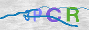 Obraz CAPTCHY