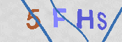 Obraz CAPTCHY