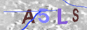 Obraz CAPTCHY