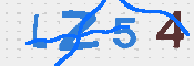 Obraz CAPTCHY