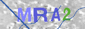 Obraz CAPTCHY