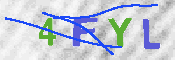 Obraz CAPTCHY