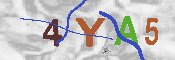 Obraz CAPTCHY