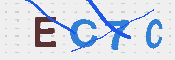 Obraz CAPTCHY